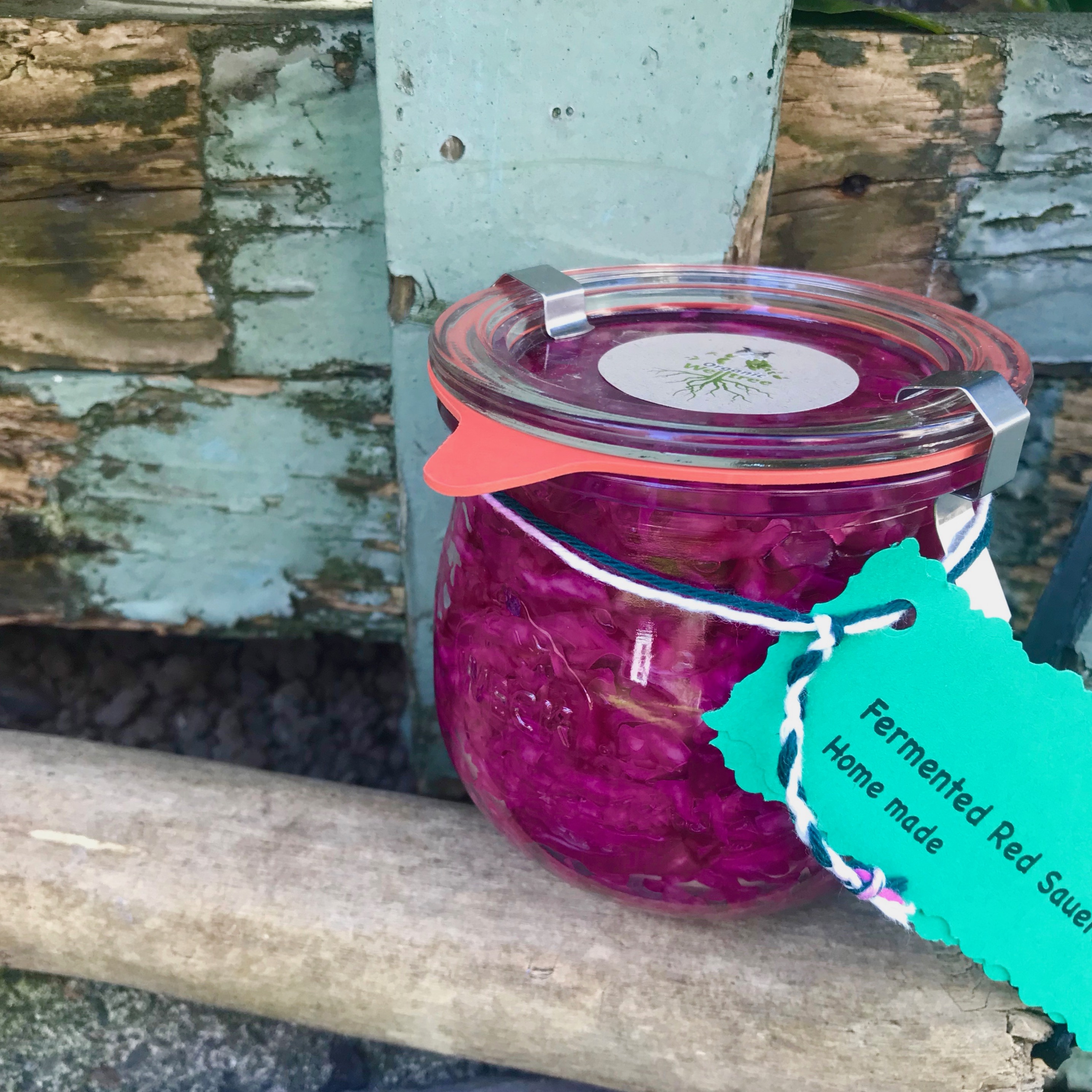 Fermented Red Sauerkraut 310 g